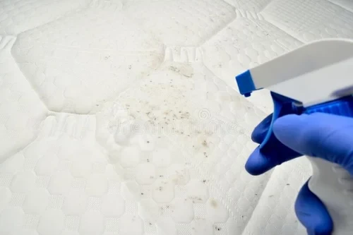 Textile Fungus Remover