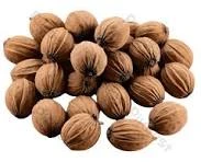 Nutmeg