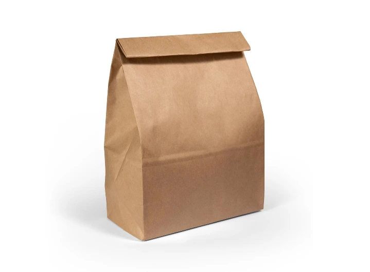Brown Paper Bag With Handle