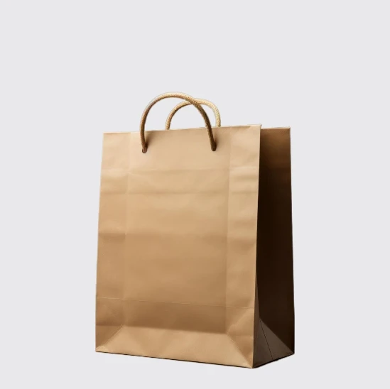 Brown Paper Bag With Handle