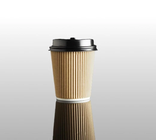 Insulated Paper Coffee Cup