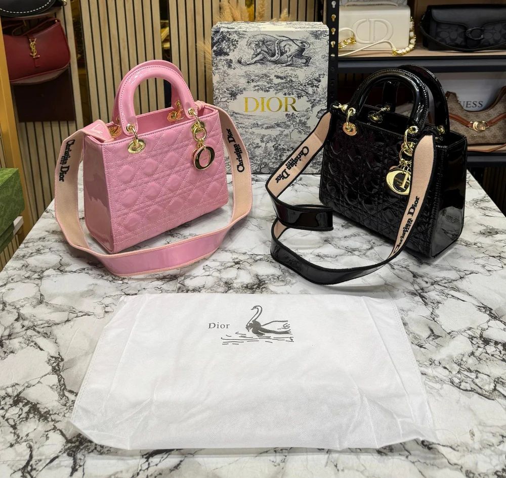 Dior Ladies Hand Bag