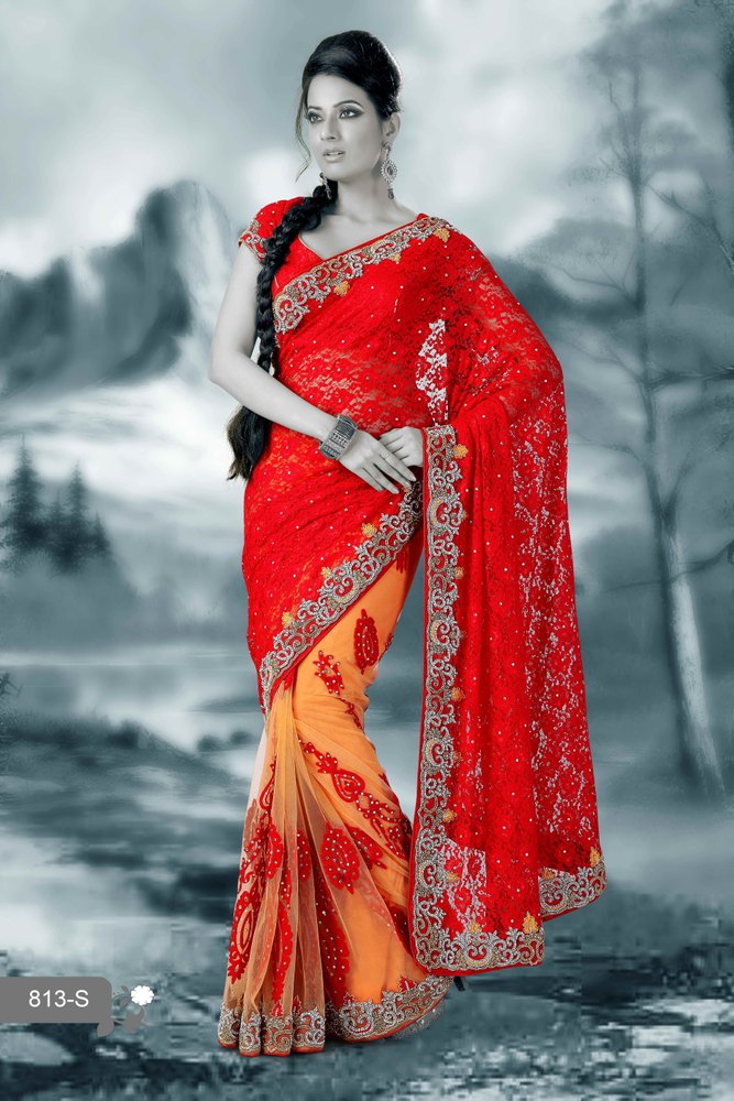 Net Saree with Embroidered Pallu