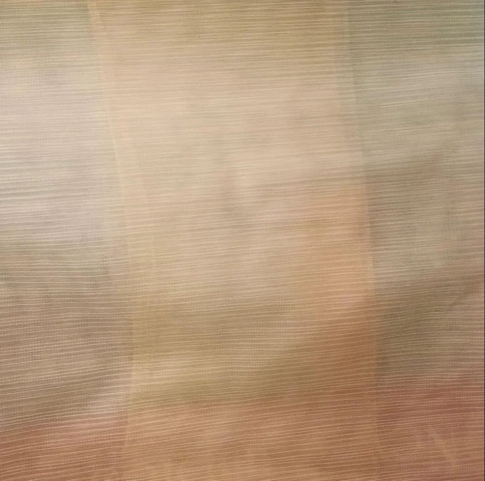Orange Polyester Fancy Net Fabric