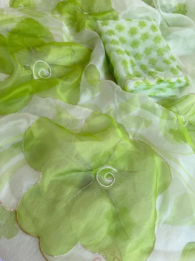 Light Green Organza Handwork Saree