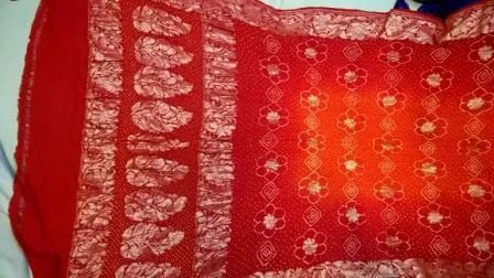 Border Buta Pure Banarasi Bandhani Saree