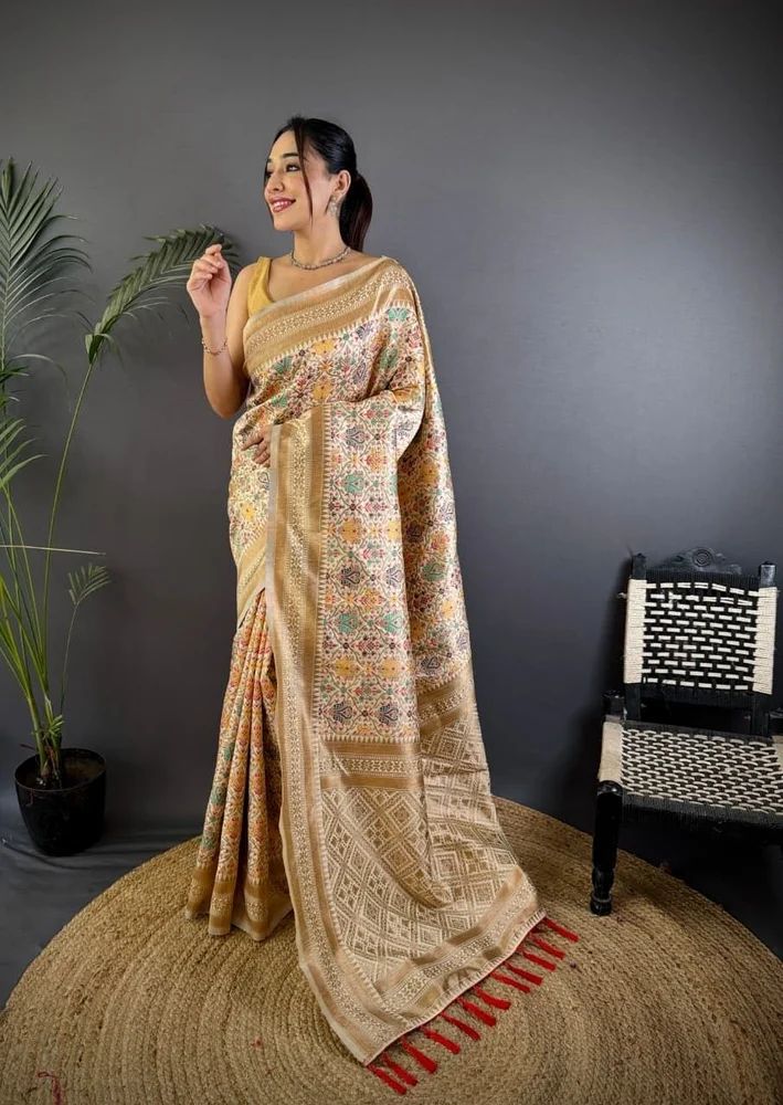 Banarasi Patola Silk Saree