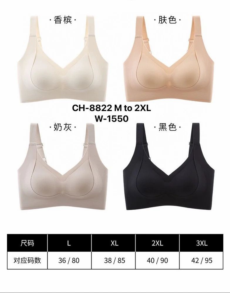 Ladies Padded Bra