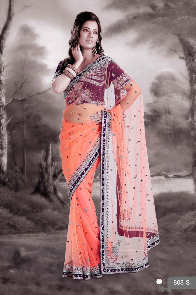 Fancy Net Saree