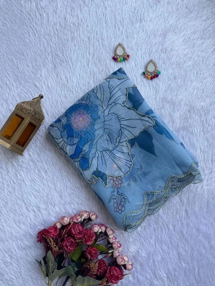 Baby Blue Organza Handwork Saree