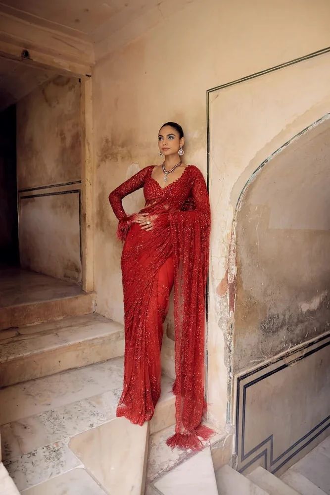 Butterfly Net Saree