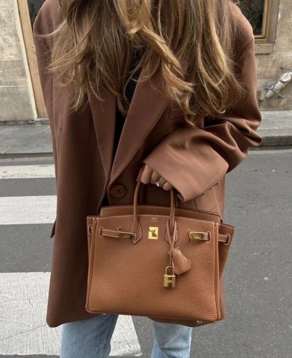 Hermes Birkin 25 Medium With Dust Cover Premium