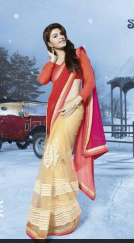 Embroidery Work Saree