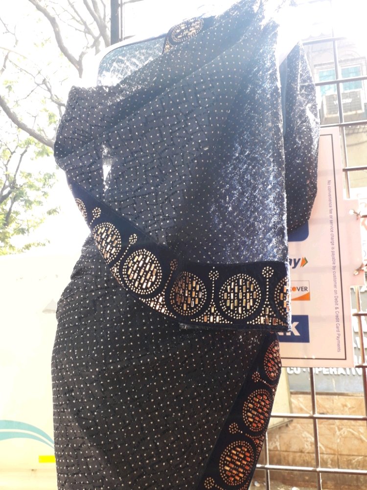 Netted Saree