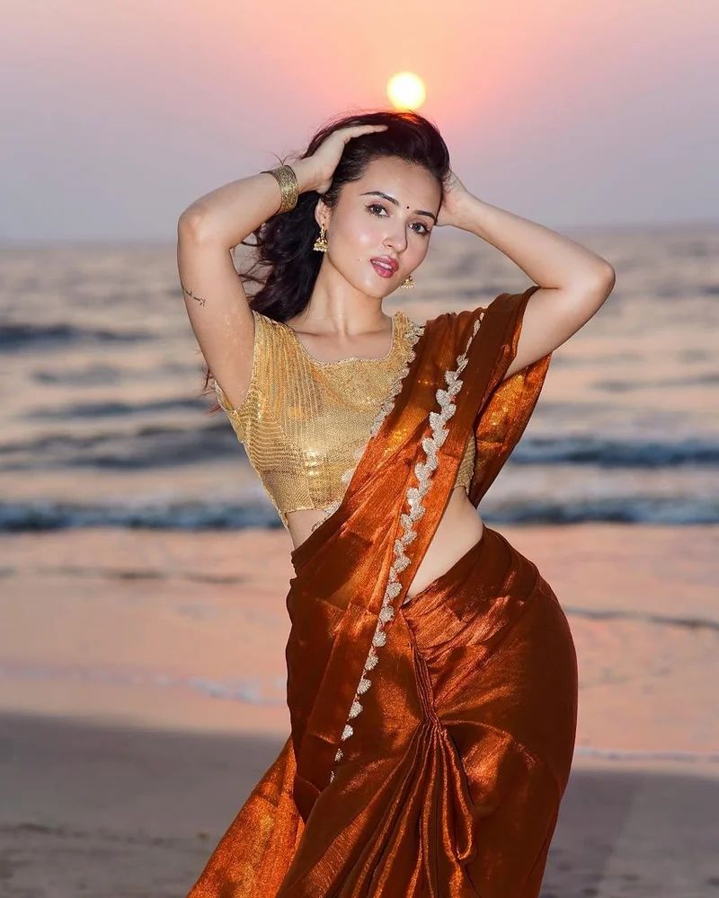 Elegant Fancy Chiffon Saree with Sequence Lace Border