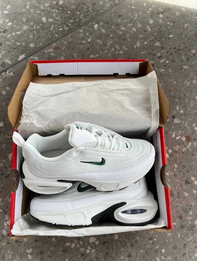 Nike Air Max Shoe
