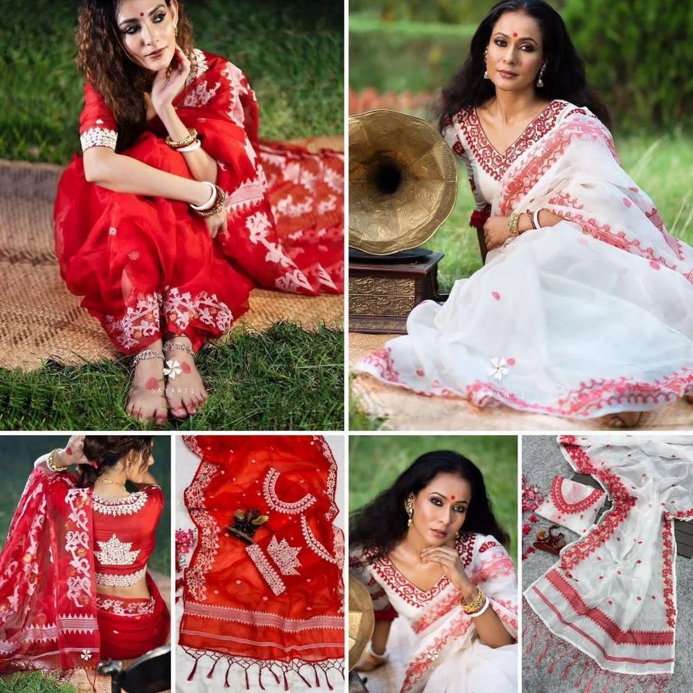 Organza Embroidery Saree