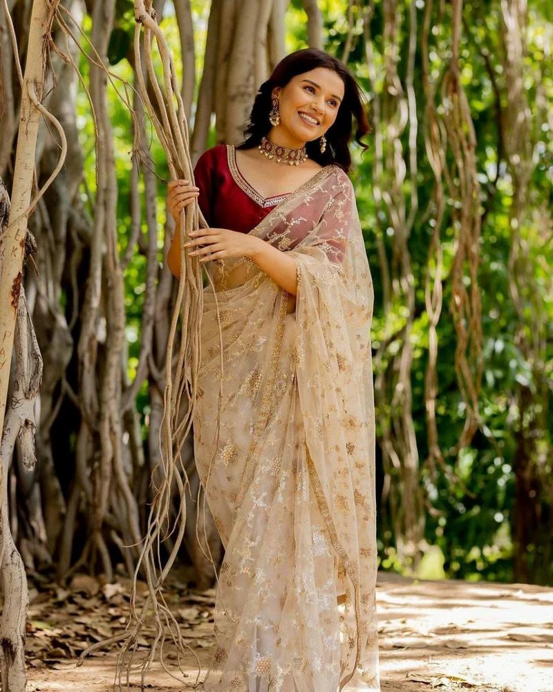 pure soft net Saree