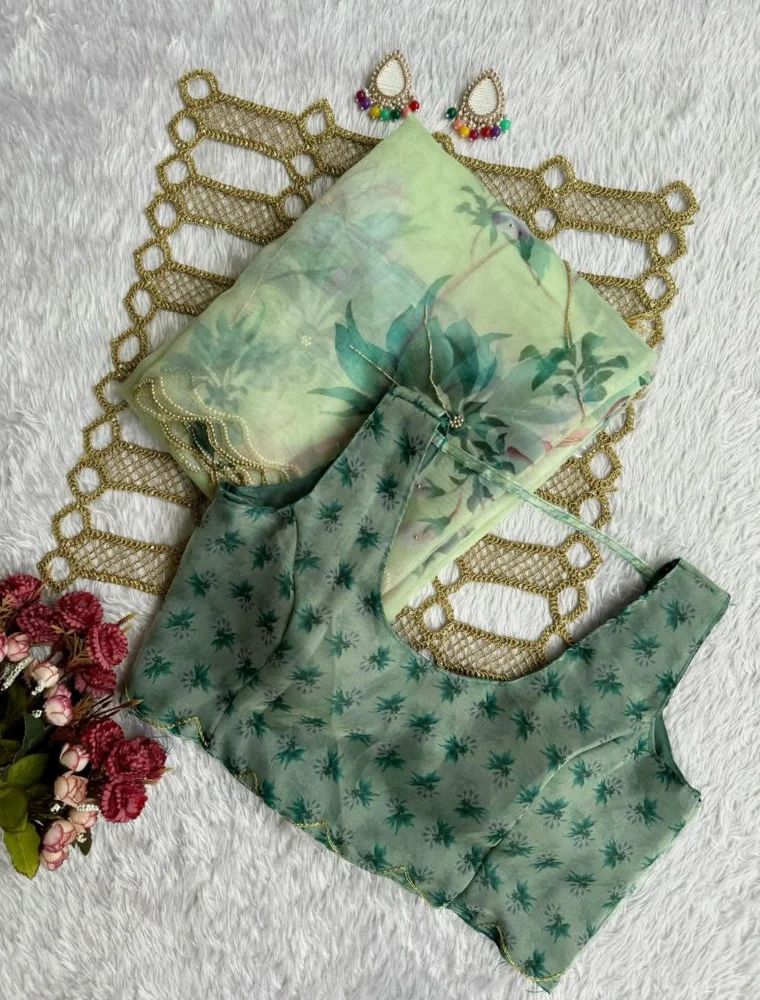 Mint Green Organza Handwork Saree