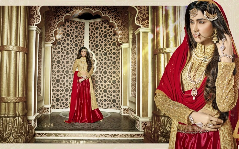 Ladies Fancy Dress