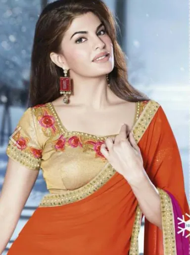 Embroidery Work Saree
