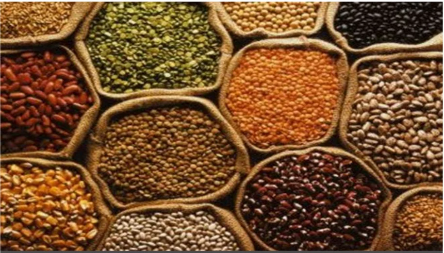 Pulses